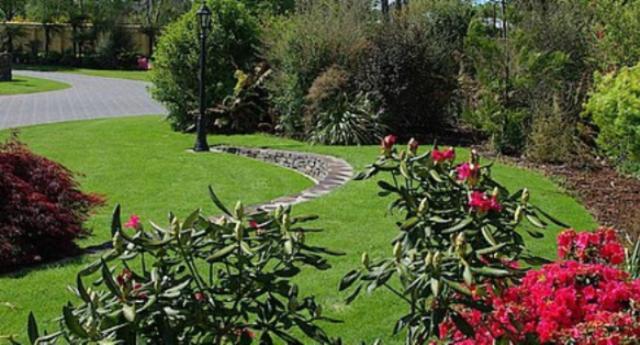 טוראנגי Tui Lodge מראה חיצוני תמונה